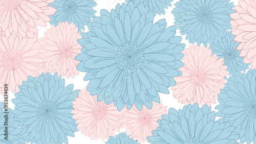 Beautiful floral pattern background featuring an array of blue and pink chrysanthemums or daisies in a dense garden arrangement.