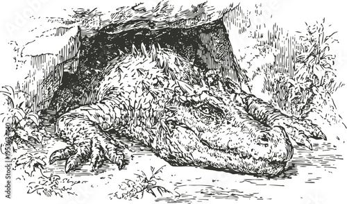 Alligator resting at cave entrance with detailed scaly skin in natural wilderness habitat