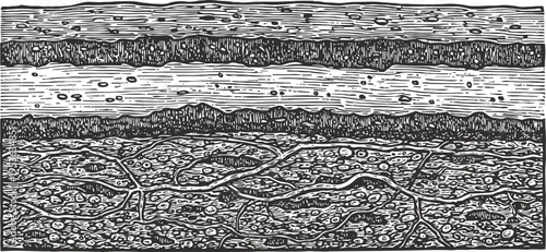 Black and white woodcut of layered cracked earth with textured sky above horizon line