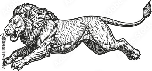 Detailed black and white illustration of a fierce lion jumping in mid air with flowing mane