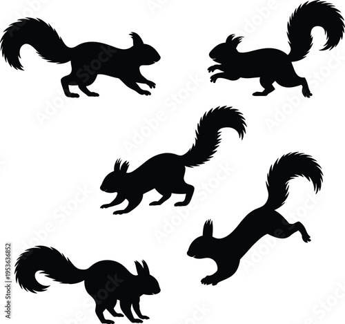 Squirrel silhouette illustration, wildlife icons, bushy tail figures, animal posture design, forest creature graphic, dynamic movement set, nature agility outline