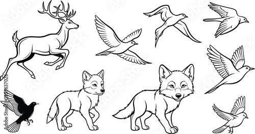 Hand Drawn Wildlife Animal Line Art Vector Set, Deer Fox Birds Outline Collection Forest Nature Clipart Design