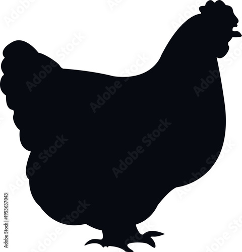 Chicken hand drawing silhouette