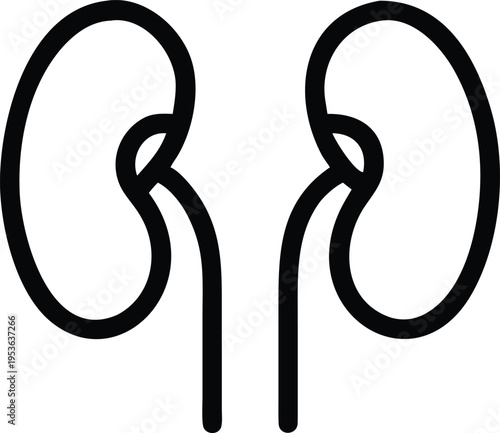 Black Outline Drawing of Two Human Kidneys human organ