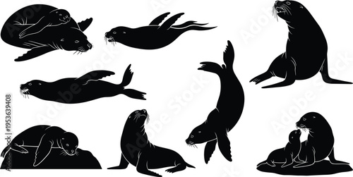 Sea Lion Silhouette Collection Featuring Multiple Poses Swimming Resting and Playing Marine Mammal Set Isolated on Clean Background