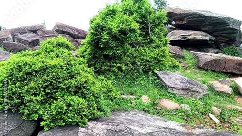 Roots and tubers found in the mountains are known for their natural taste and nutrition. They often taste very rich and delicious, sometimes described as nectar-like.