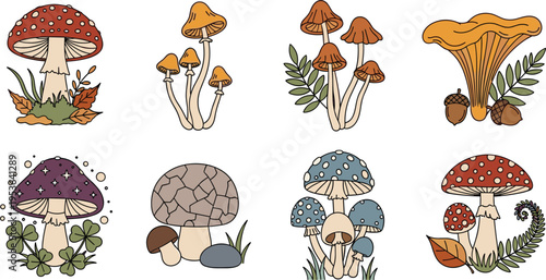 Earthy Mushroom Vector Collection with Autumn Chanterelles, Acorns, Magic Purple Toadstools, Blue Forest Fungus, and Woodland Ferns for Seasonal Fall Nature Graphic Designs