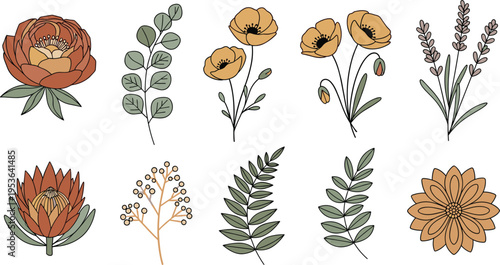 Elegant Hand Drawn Floral Vector Set Featuring Peony Poppy Lavender and Eucalyptus Foliage for Wedding Invitations Greeting Cards Branding and Minimalist Nature Themed Designs