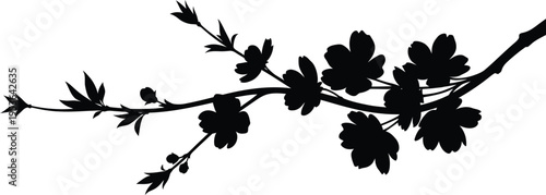 Silhouette of a branch with leaves on a white background