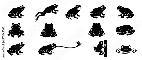 Black frog silhouettes are depicted in various natural poses, including jumping, sitting, croaking, and catching a fly, rendered in a clean graphic style