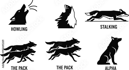 Wolf Behavior Silhouette Vector Set, Howling Alpha Pack Stalking Wild Animal Actions Black Icon Collection Design