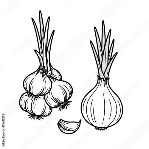 Hand Drawn Illustration of Garlic and Onion with a Single Clove.