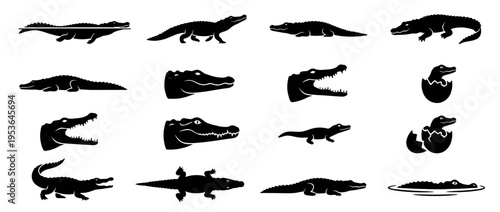 Collection of black silhouette crocodile and alligator icons depicting various poses, including swimming, walking, resting, and hatching from eggs, presented in a graphic style