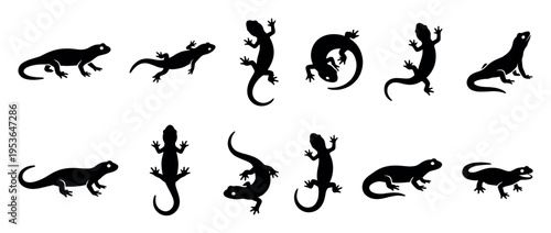 Multiple black lizard gecko silhouettes in various poses, showcasing their distinct reptilian forms with a graphic, illustrative style