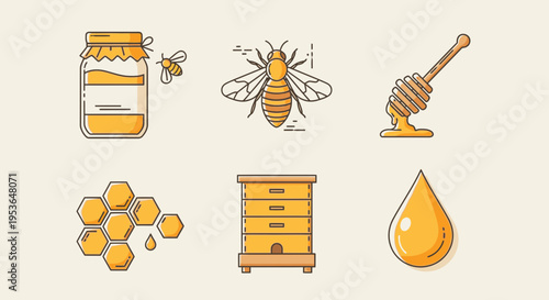 Honeycomb and honey bee icons 1.