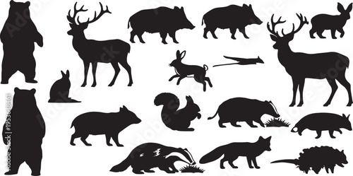 set of wild animals