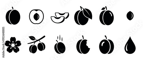 Collection of black plum silhouette icons depicting whole fruits, slices, pits, blossoms, and juice drops in a simple graphic style