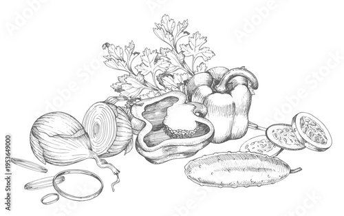 Banner of the bell pepper, cucumber, onion and parsley. Vector ink styled handmade illustration. For packaging design, cards, cover, prints, product labels and fabric.