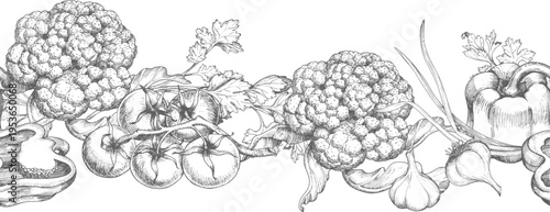 Seamless border of the garlic, bell peppers, tomatoes, green onion and cauliflower. Vector ink styled illustration. For packaging design, cards, cover, prints, product labels and fabric.