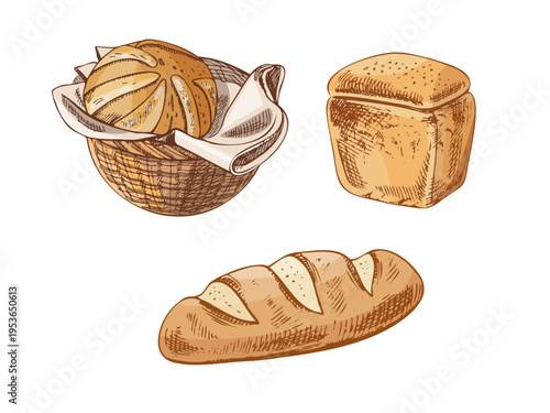 Hand drawn vintage bread set with round loaf baguette and sliced bread bakery illustration collection