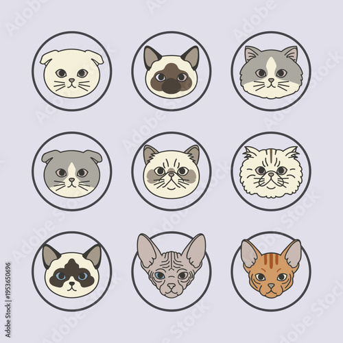 Collection of cute cat breed heads in circular frames flat vector illustration set featuring persian siamese scottish fold and tabby cat icons