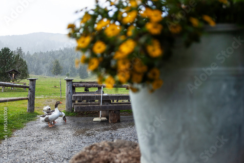 Krottenkopf mountain tour, Bavaria, Germany
