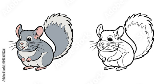 Cute Cartoon Chinchilla Illustration Set with Colored Version and Black and White Line Art Outline for Kids Coloring Book Pages, Educational Material, and Vector Graphic Design