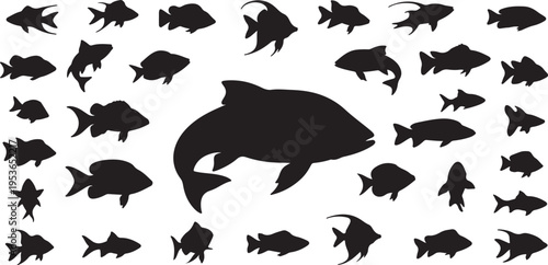 silhouettes of fish
