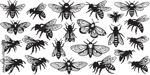 Diverse collection of black and white insect silhouettes resembling bees and flies