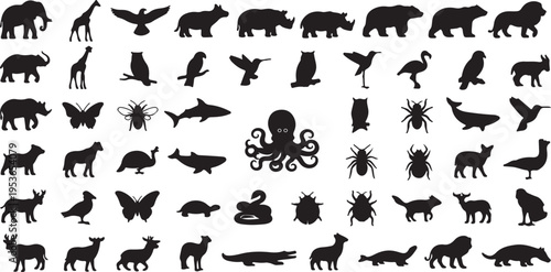 Diverse collection of black silhouette animals and creatures from nature