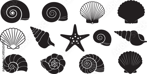Diverse collection of stylized black and white seashells and starfish icons