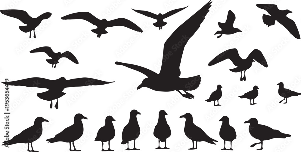 Obraz premium silhouettes of birds