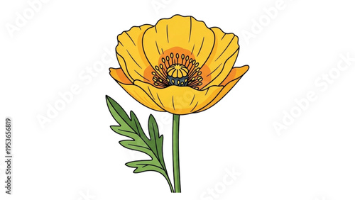 Vibrant yellow poppy flower blooms in natural setting with green stem