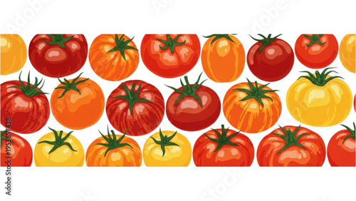 Vibrant Tomatoes Displayed in Rows on a Surface
