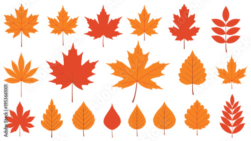 Large set of various autumn leaves in warm orange and red colors isolated on white background for seasonal design.