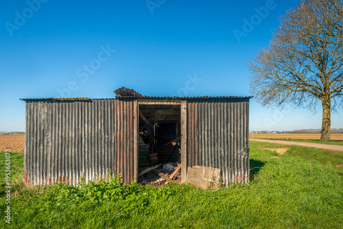 Old corrugated iron shed in a Dutch agricultural area. The photo was taken on a sunny day at the end of winter. The tree branches are still bare.