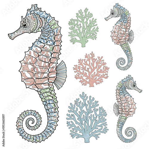 Detailed pink seahorse and coral reef botanical illustration set