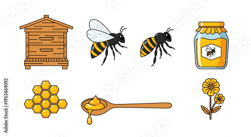 Honey bee and honey elements.