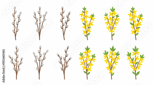 Illustration of Pussy Willow Branches with Leaves.