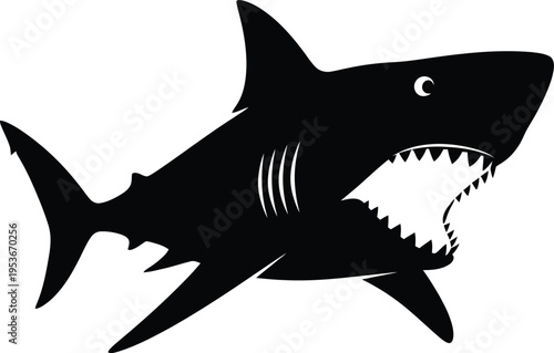 Shark cartoon vector illustration isolated on white background showing a dangerous marine predator with fins, teeth and underwater ocean theme