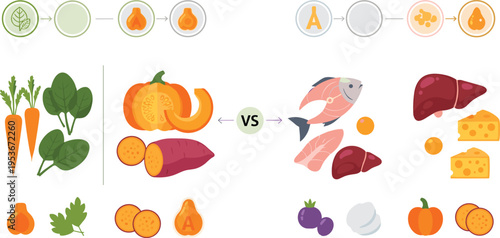 Healthy food versus unhealthy diet vector illustration with vegetables, fish, cheese and junk food comparison nutrition concept design