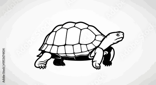 Monochrome vector drawing of a tortoise, a slow-moving reptile with a hard shell, depicted from the side on a plain background.