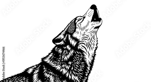 Stylized black and white illustration of a howling wolf, showcasing wild animal nature and expressive wildlife art.