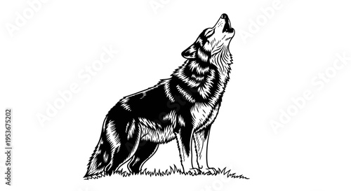 Majestic howling wolf vector illustration in black and white, side view of a predatory wild canine on a white background.