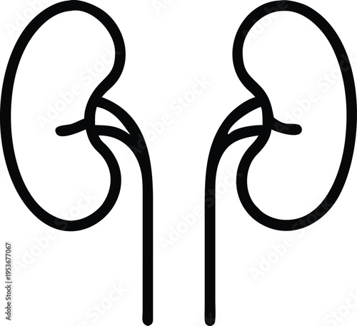 Simple Line Art Human Kidneys Medical Icon anatomy