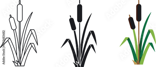 Cattail plant vector illustration set featuring line art, flat black silhouette, and colorful cartoon styles for nature and wetland pond design.