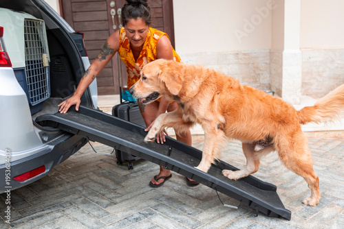 Cuadro en lienzo Woman assisting golden retriever entering car using pet ramp