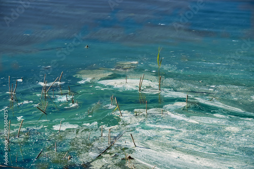 Photography Scene water pollution revealing an ecological disaster caused by wastewater and