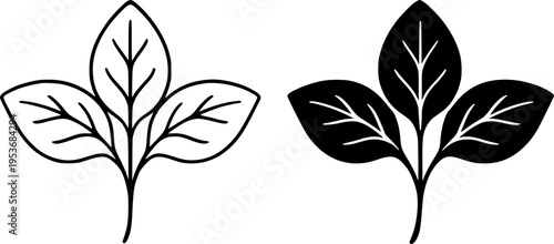 Basil illustration icon, outline and silhouette, for plant or botanical design
