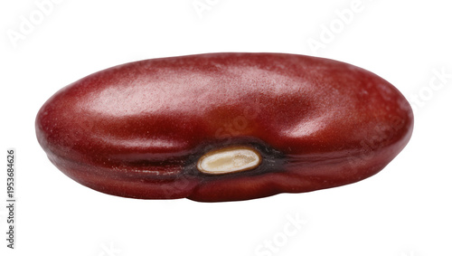 Фотография Single red kidney bean, raw and uncooked, a healthy and nutritious legume food i